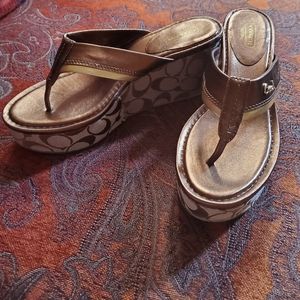 NWOT Bronze Coach Jody Metallic KIDSKI 